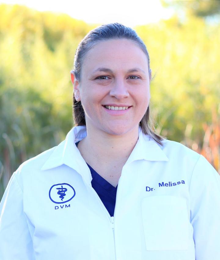 Melissa Dietschweiler DVM Elkhorn Veterinary Clinic
